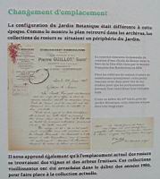 03 - La roseraie du Jardin Botanique (2).jpg